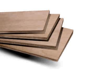 Kayın Marin Kontrplak